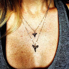 14kt Gold Filled Shark Tooth Necklace - Fossilized Shark Teeth from Charleston, SC // Barrel Clasp // Various Lengths