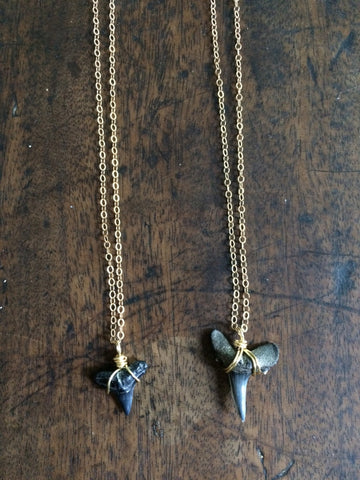 14kt Gold Filled Shark Tooth Necklace - Fossilized Shark Teeth from Charleston, SC // Barrel Clasp // Various Lengths